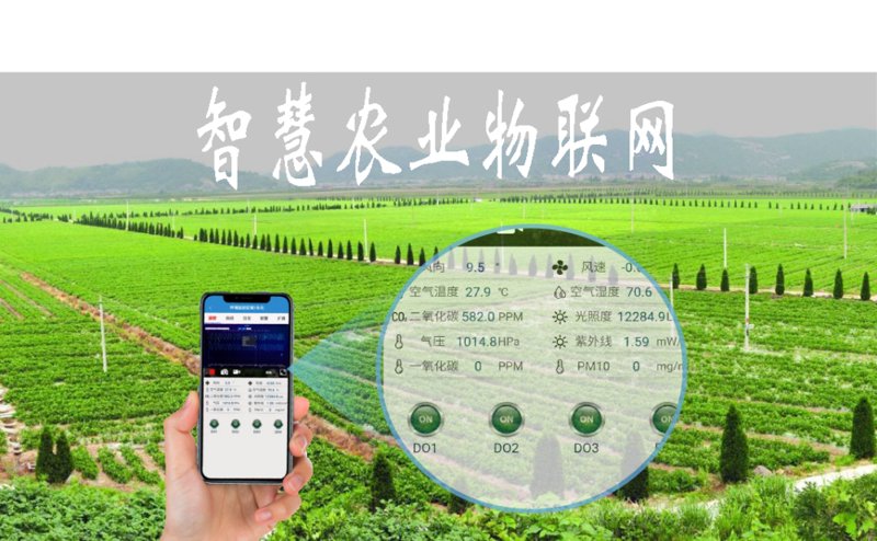 企业信息化建设:未来发展的新引擎